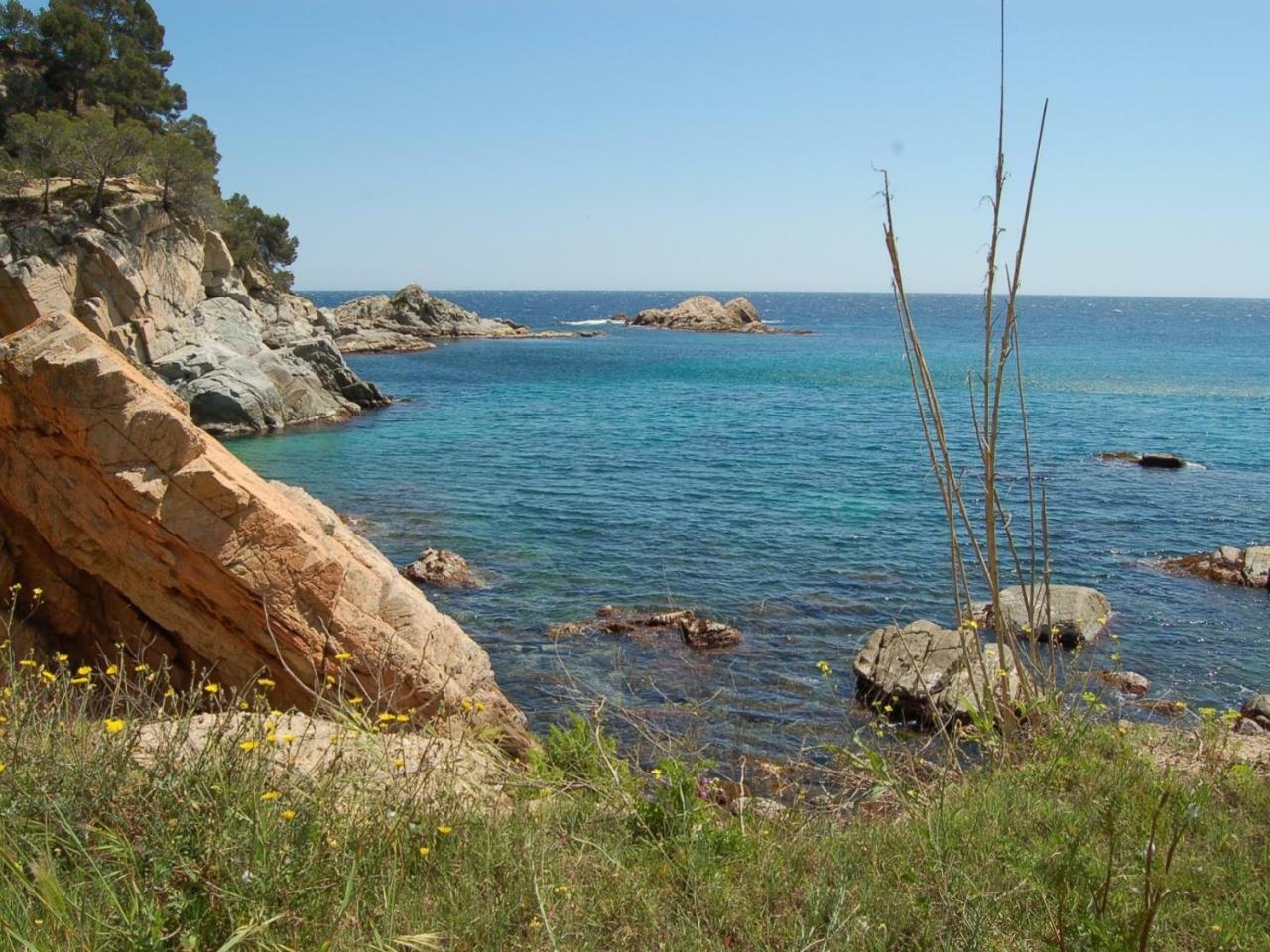 Studios Face A La Mer - Cala Llevado ตอสซาเดมาร์ ภายนอก รูปภาพ